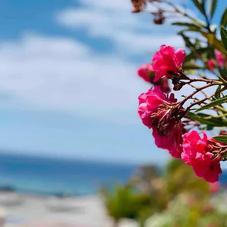 Centrica Casa Puerto del Carmen (Lanzarote)